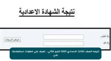 نتيجة الصف الثالث الإعدادي 2025 الترم الثاني.. تعرف على خطوات استعلامك الآن